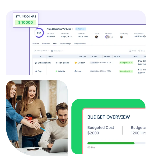 Project Budget Overview