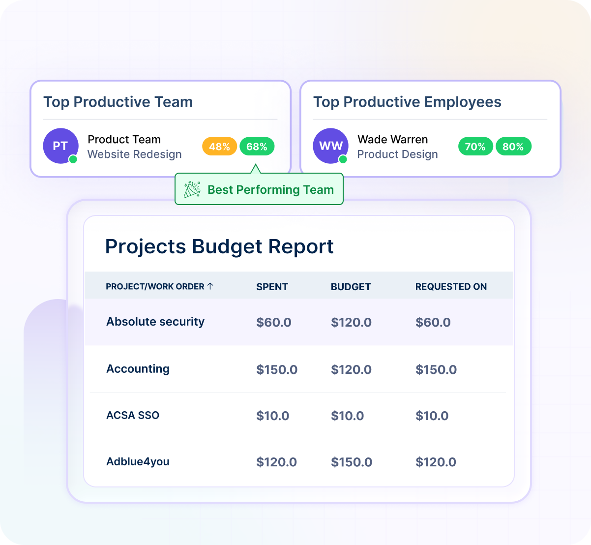 Projects Budget Report