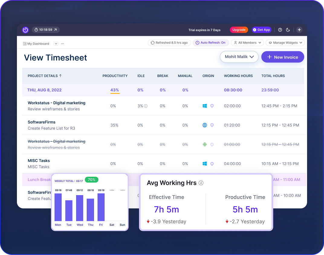View Timesheet